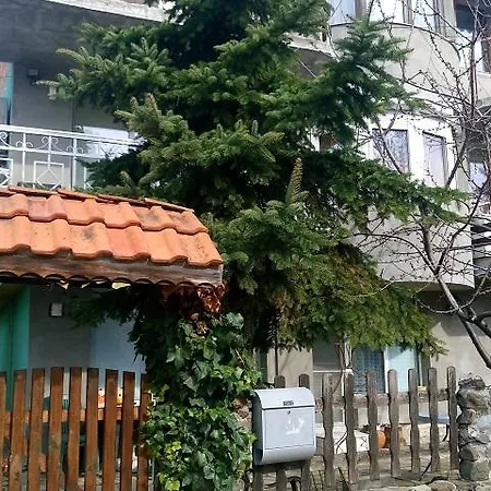 Eli 布尔加斯
